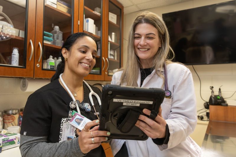Stephanie DeMonaco (at right) working with 4th year DVM student Margarita Nevarez (at left) on a case in the Small Animal Internal Medicine wing at the Veterinary Teaching Hospital 